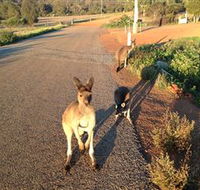 Bindoons Windmill Farm - Tweed Heads Accommodation