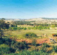 Pecan Hill Bed and Breakfast - Tweed Heads Accommodation