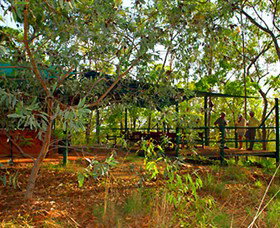 Arnhemland Barramundi Nature Lodge - Tweed Heads Accommodation 0