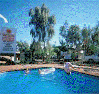 Wintersun Cabin and Caravan Park - Tweed Heads Accommodation