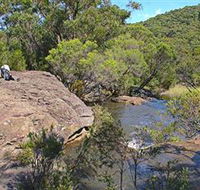 Kingfisher Pool Campground - Tweed Heads Accommodation