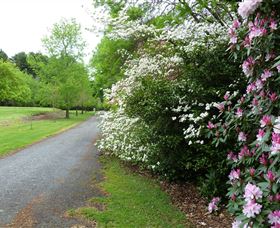 Laurel Hill Forest Lodge - Tweed Heads Accommodation 2