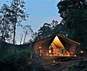 Nightfall Wilderness Camp - Tweed Heads Accommodation 0