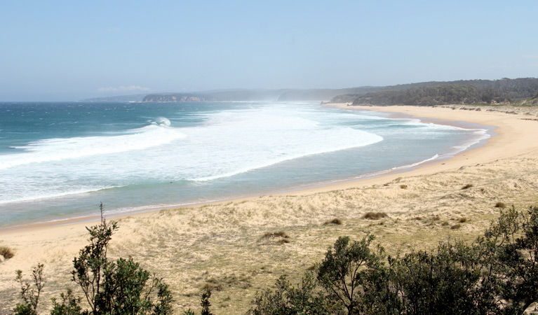 Tanja NSW Tweed Heads Accommodation