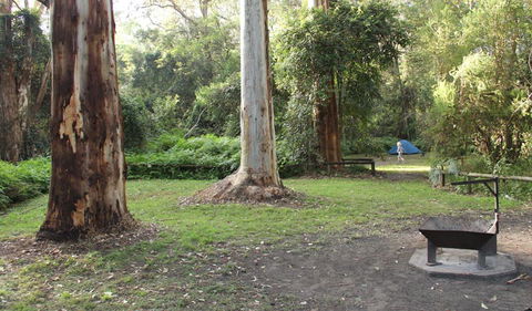 Mill Creek Campground - Tweed Heads Accommodation 2