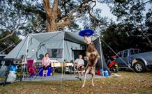 North Coast Holiday Parks North Haven - Tweed Heads Accommodation 6
