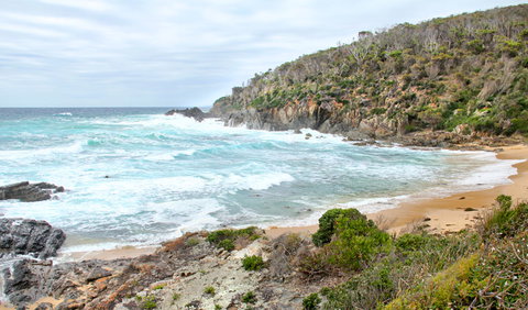 Picnic Point Campground - Tweed Heads Accommodation 1