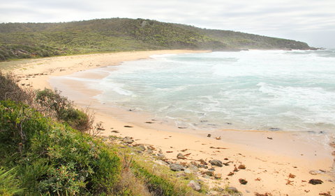 Picnic Point Campground - Tweed Heads Accommodation 2