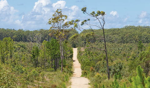 Station Creek Campground - Tweed Heads Accommodation 1