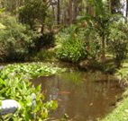 Tallowood Ridge B and B - Tweed Heads Accommodation