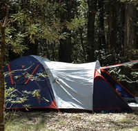 Thungutti campground - Tweed Heads Accommodation