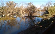 Warrawong On The Darling - Tweed Heads Accommodation 0