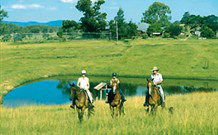 Wave Hill Station Farmstay Clarence River Gorge - Fine - Tweed Heads Accommodation 3