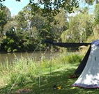 Williams River Holiday Park - Tweed Heads Accommodation