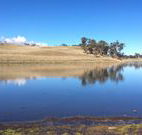 Bombala Maneroo Motel - Bombala - Tweed Heads Accommodation