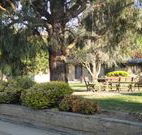 Hamilton Hume Motor Inn - Yass - Tweed Heads Accommodation