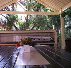Mollymook Paradise Haven Apartment Motel - Mollymook - Tweed Heads Accommodation