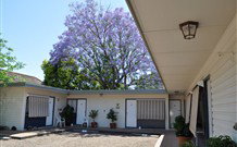 Red Cedar Motel: Muswellbrook - Tweed Heads Accommodation 1