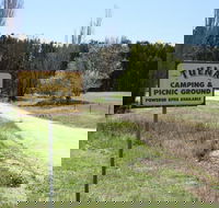 Tuena Camping and Picnic Ground - Tweed Heads Accommodation