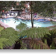 Motel Marengo - Tweed Heads Accommodation
