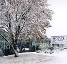 Maneroo Motel - Tweed Heads Accommodation