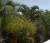 Ballina Beach Resort - Tweed Heads Accommodation 4
