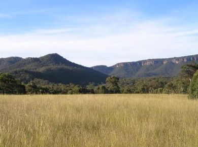 Secret Valley Escape - Tweed Heads Accommodation 2