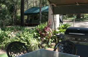 Tamborine Mountain Caravan & Camping - Tweed Heads Accommodation 2