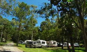 Tamborine Mountain Caravan & Camping - Tweed Heads Accommodation 3