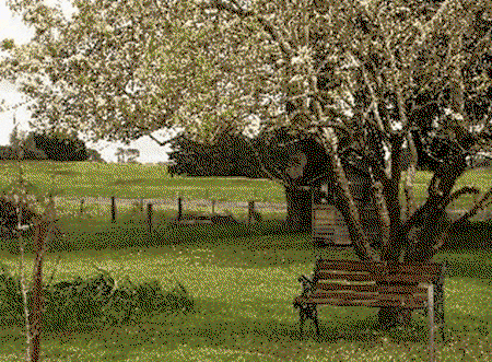 Lemon Gum B And B - Tweed Heads Accommodation 2