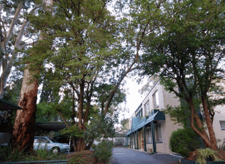 Adelaide Oakford Apartments - Tweed Heads Accommodation 0