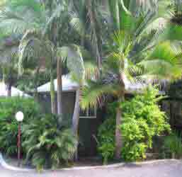 Nambour Rainforest Holiday Village - Tweed Heads Accommodation 1