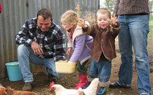 Linga Longa Farm Wingham - Tweed Heads Accommodation 0