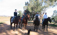 Linga Longa Farm Wingham - Tweed Heads Accommodation 1