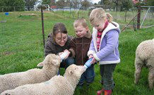 Linga Longa Farm Wingham - Tweed Heads Accommodation 2