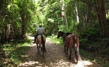 Malibells Country Cottages - Tweed Heads Accommodation 1