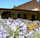 Red Hill Organics Farmstay - Tweed Heads Accommodation