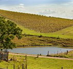 Sanctuary Hill Retreat - Tweed Heads Accommodation