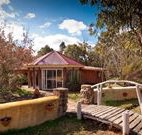 Starline Alpaca Farm Stay - Tweed Heads Accommodation
