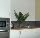 Toolond Plantation - Tweed Heads Accommodation