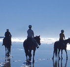 Whispering Brook - Tweed Heads Accommodation