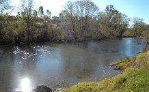 Ambleside Bed And Breakfast Cabins - Tweed Heads Accommodation 4