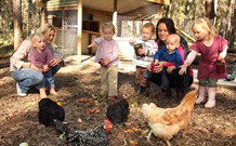 Chiltern Lodge Country Retreat - Tweed Heads Accommodation 1