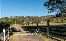 Cruickshanks Armidale Bed And Breakfast - Tweed Heads Accommodation 1