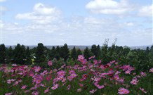 Cruickshanks Armidale Bed And Breakfast - Tweed Heads Accommodation 4