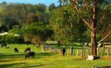 Morans Crossing NSW Tweed Heads Accommodation