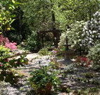 Kubba Roonga Guesthouse - Tweed Heads Accommodation