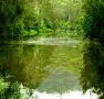Mangrove Yoga Ashram - - Tweed Heads Accommodation