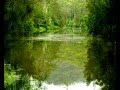 Mangrove Yoga Ashram - - Tweed Heads Accommodation 0