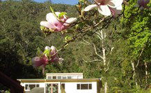 Mangrove Yoga Ashram - - Tweed Heads Accommodation 2